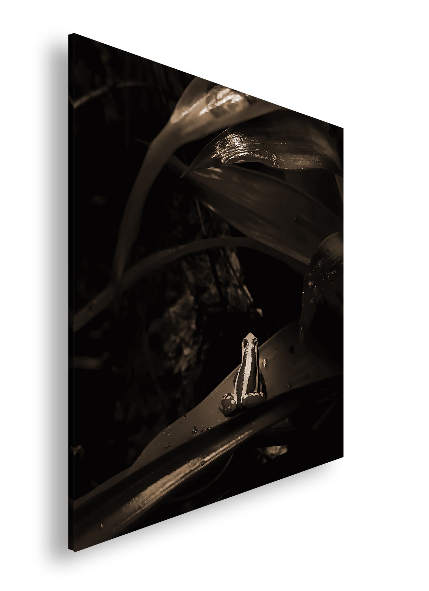 Hauptbild Sepia Quadratisch