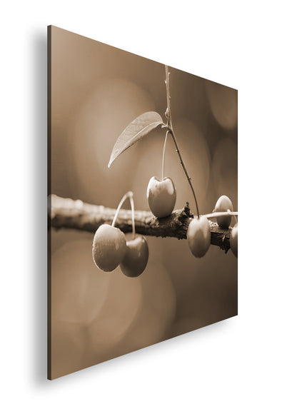 Hauptbild Sepia Quadratisch