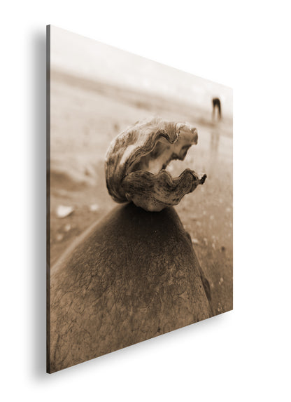 Hauptbild Sepia Quadratisch