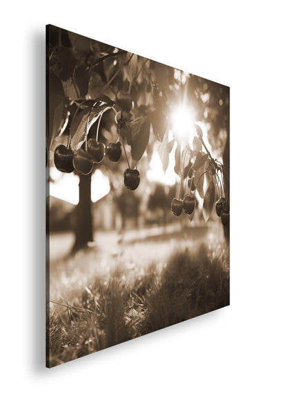 Hauptbild Sepia Quadratisch