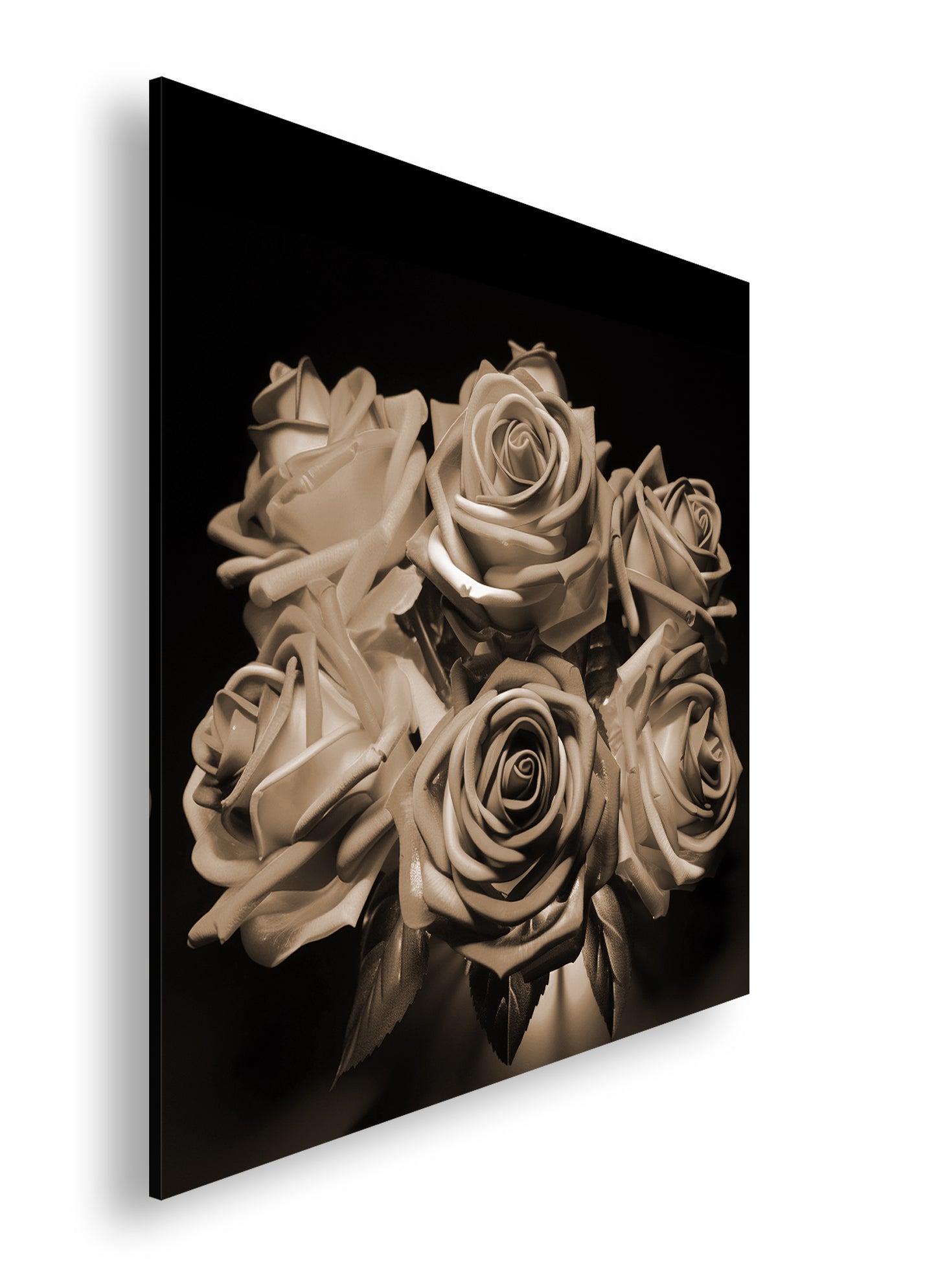 Hauptbild Sepia Quadratisch