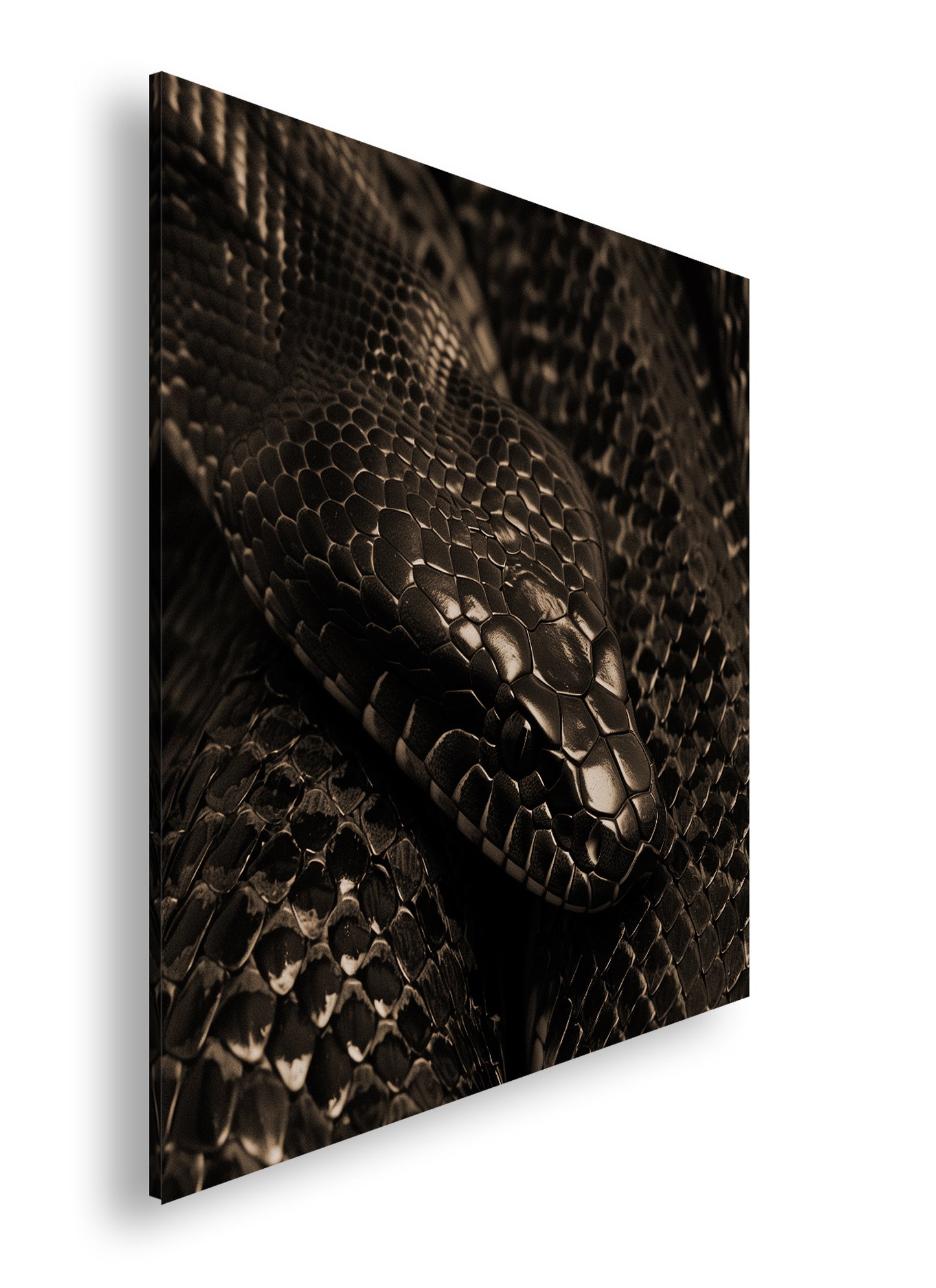 Hauptbild Sepia Quadratisch