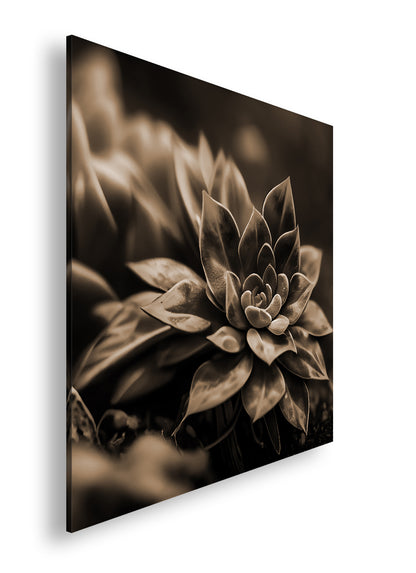 Hauptbild Sepia Quadratisch