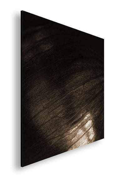 Hauptbild Sepia Quadratisch