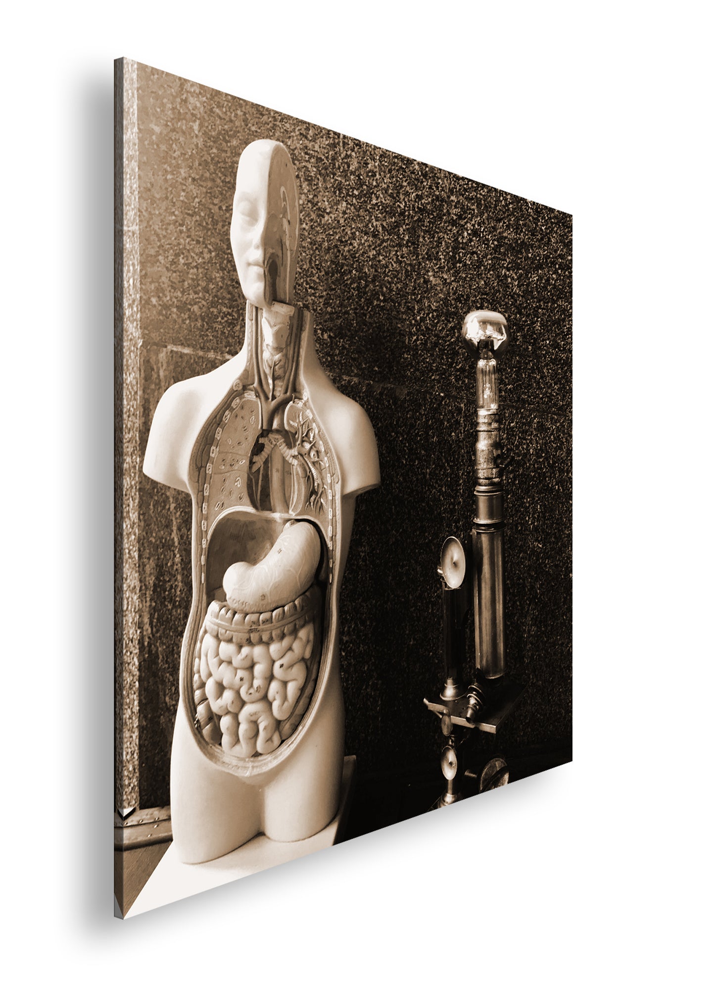 Hauptbild Sepia Quadratisch