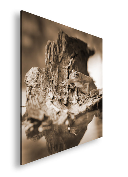 Hauptbild Sepia Quadratisch