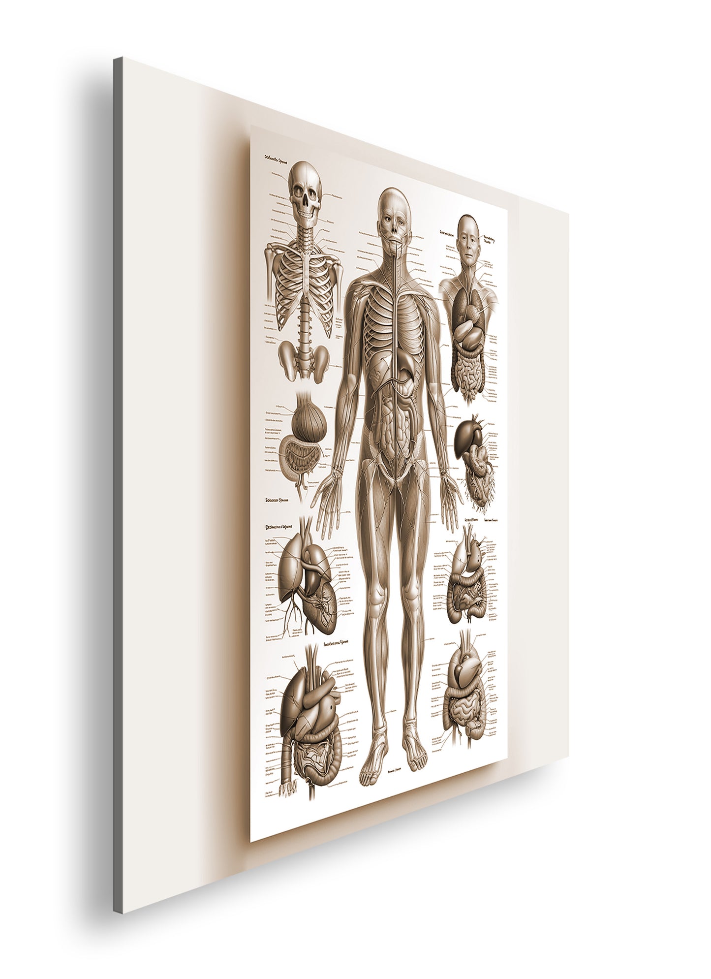 Hauptbild Sepia Quadratisch