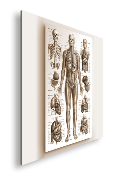 Hauptbild Sepia Quadratisch