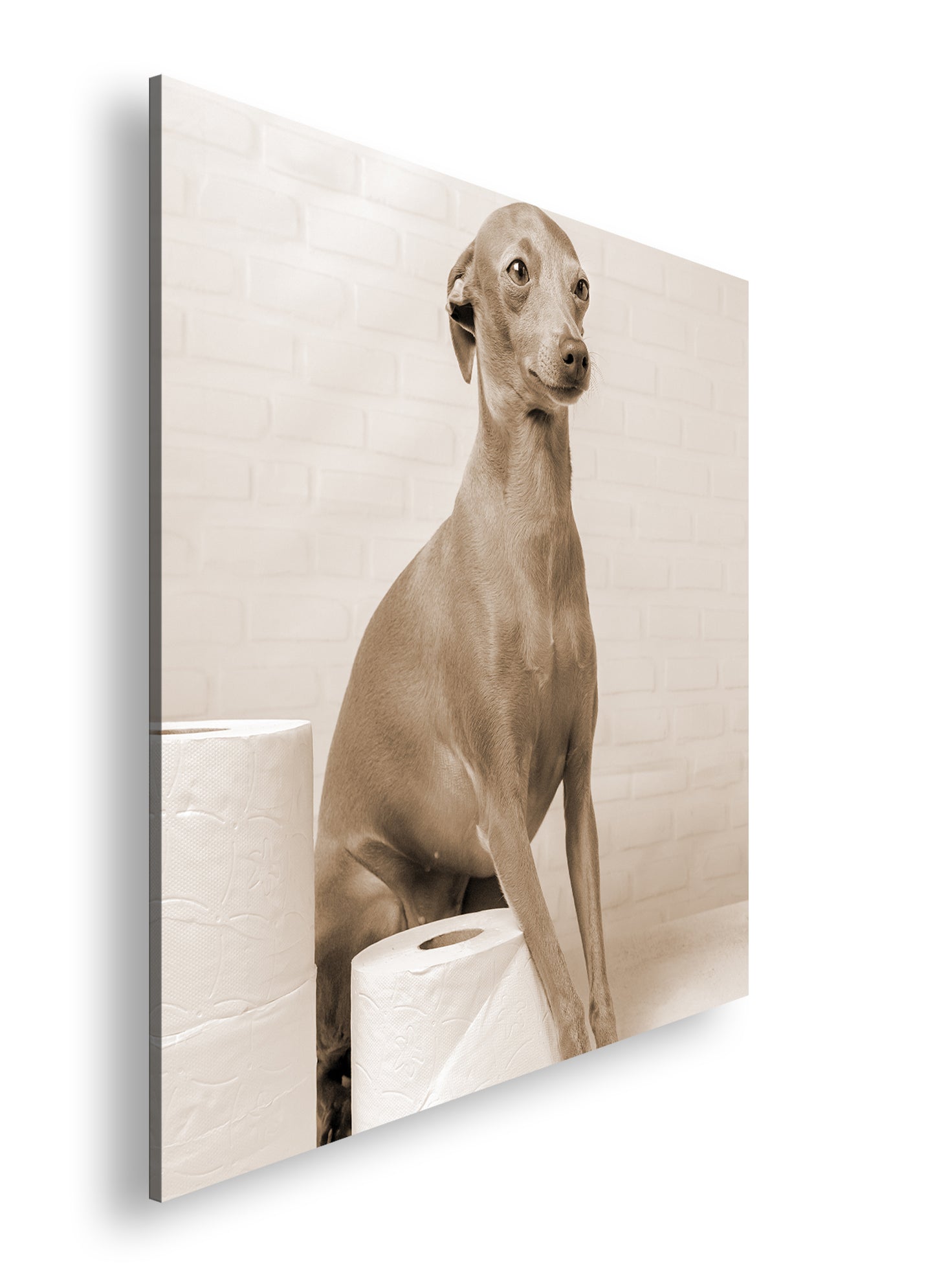 Hauptbild Sepia Quadratisch