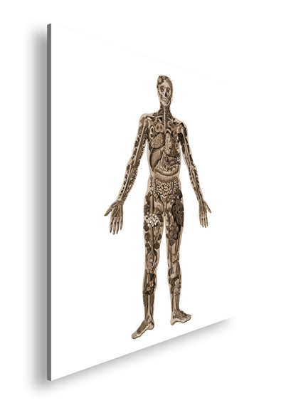 Hauptbild Sepia Quadratisch