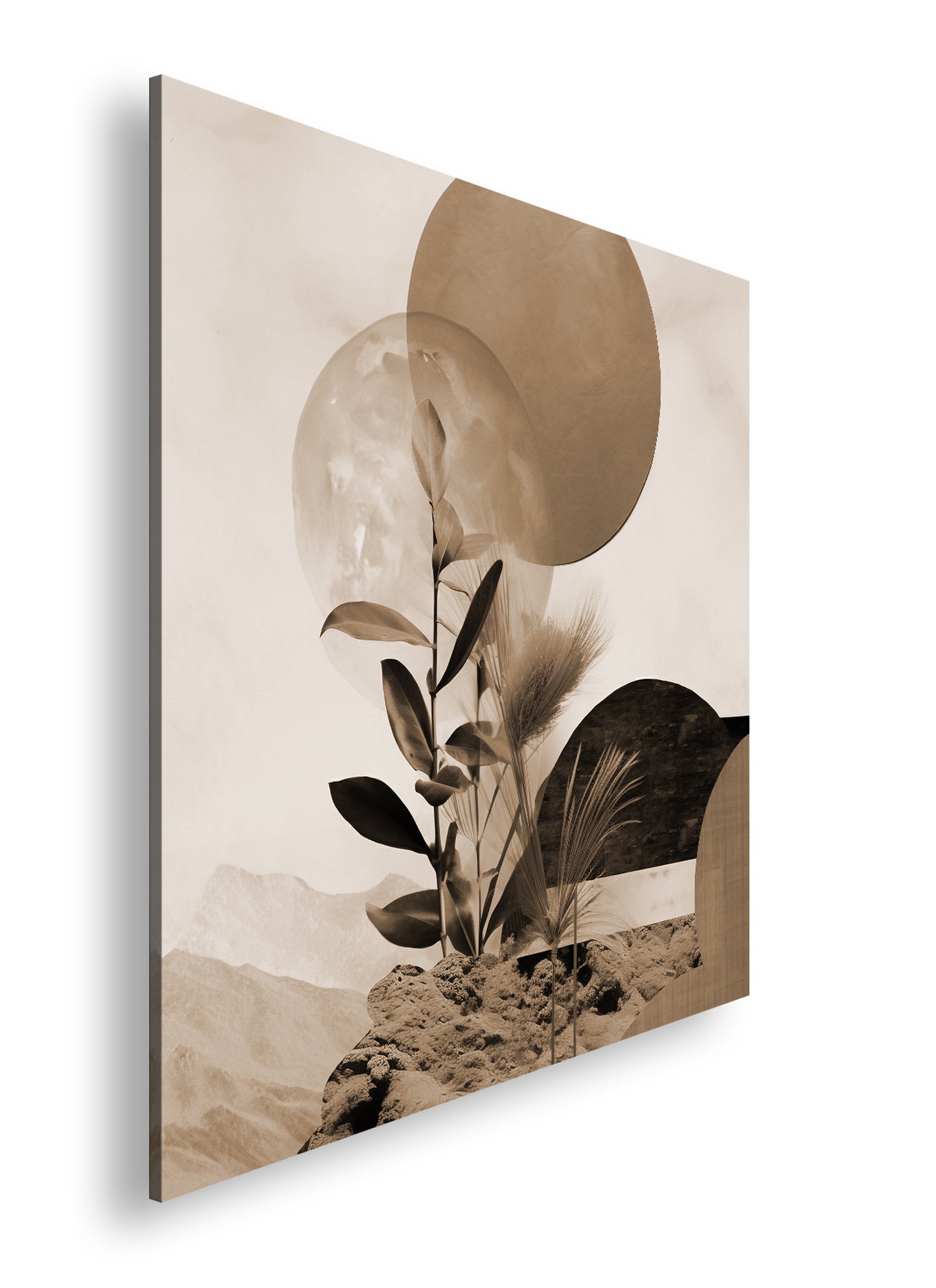 Hauptbild Sepia Quadratisch