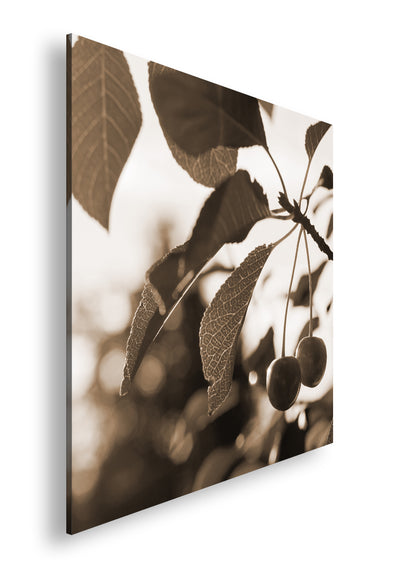 Hauptbild Sepia Quadratisch