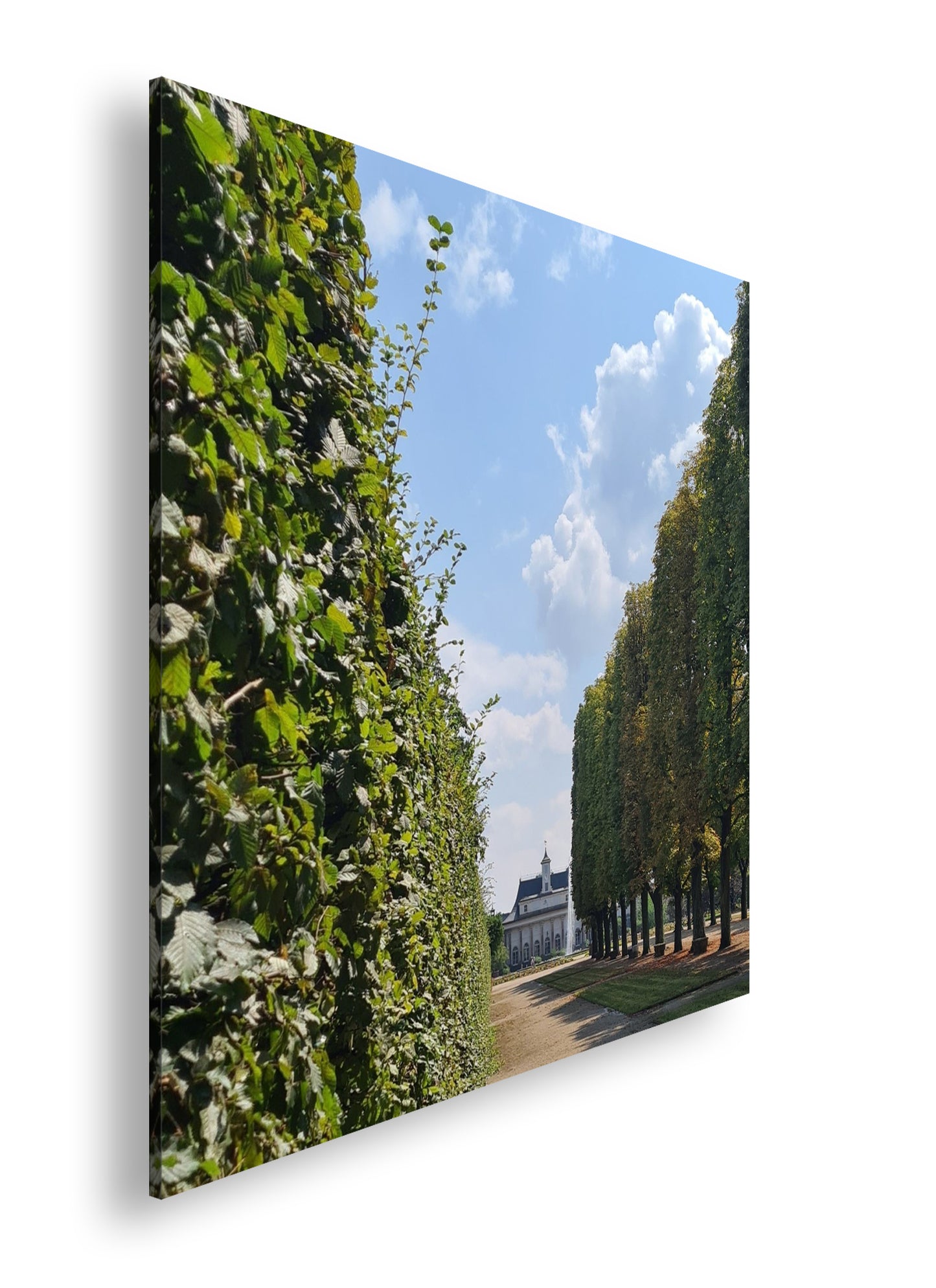 Hauptbild Farbig Quadratisch