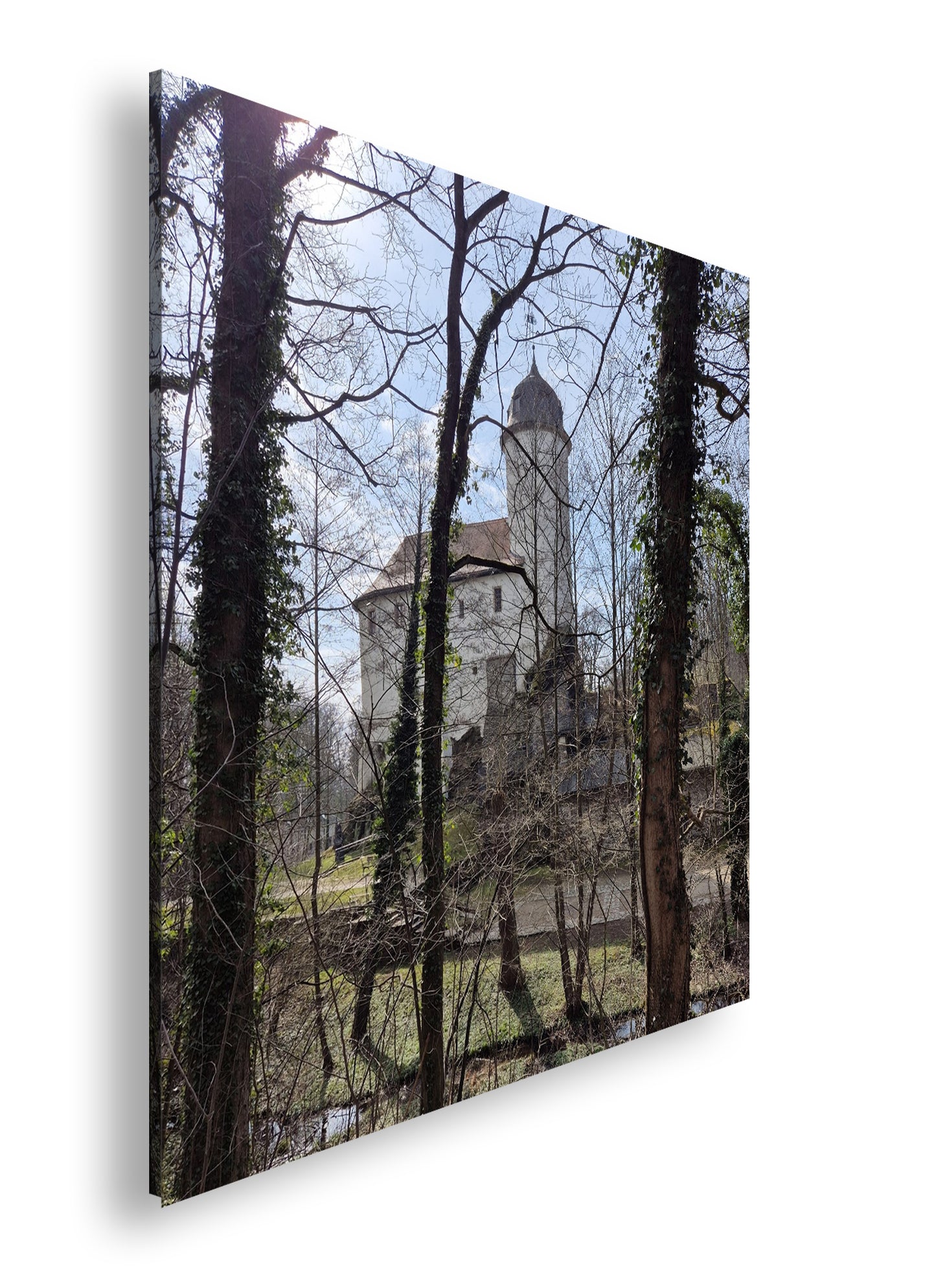 Hauptbild Farbig Quadratisch