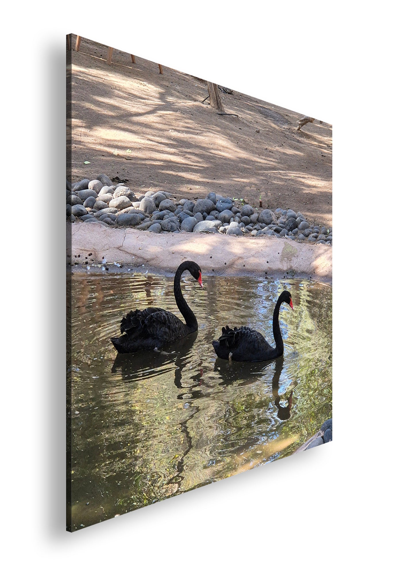 Hauptbild Farbig Quadratisch