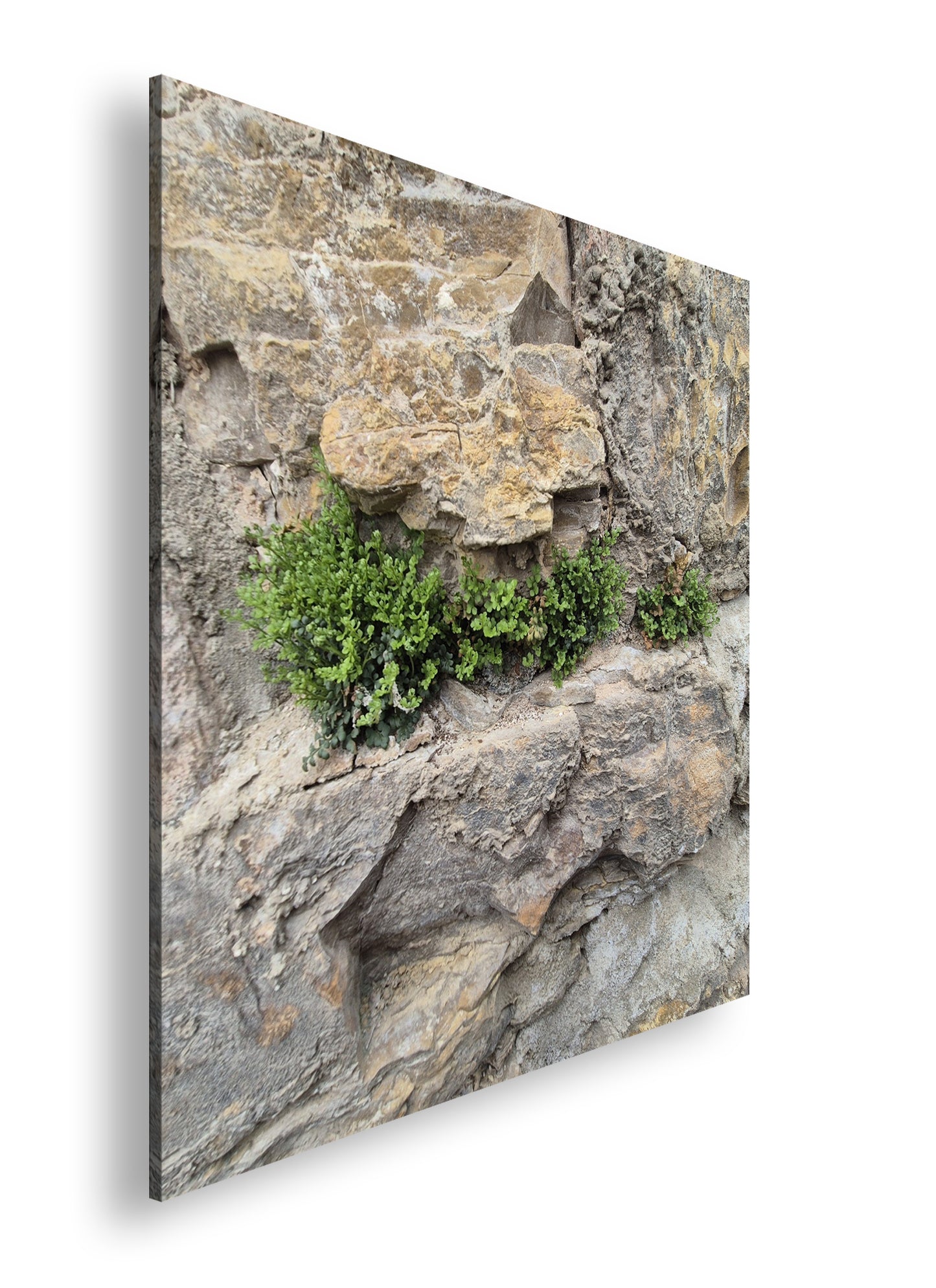 Hauptbild Farbig Quadratisch