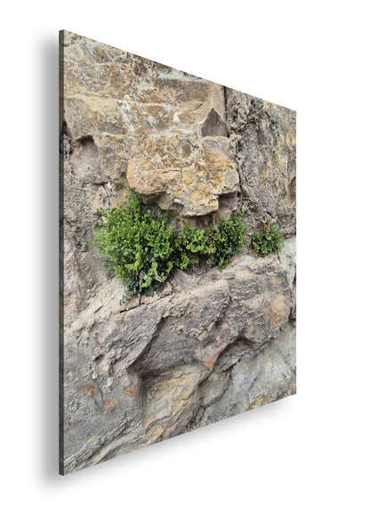 Hauptbild Farbig Quadratisch