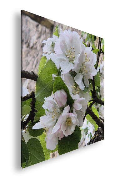 Hauptbild Farbig Quadratisch