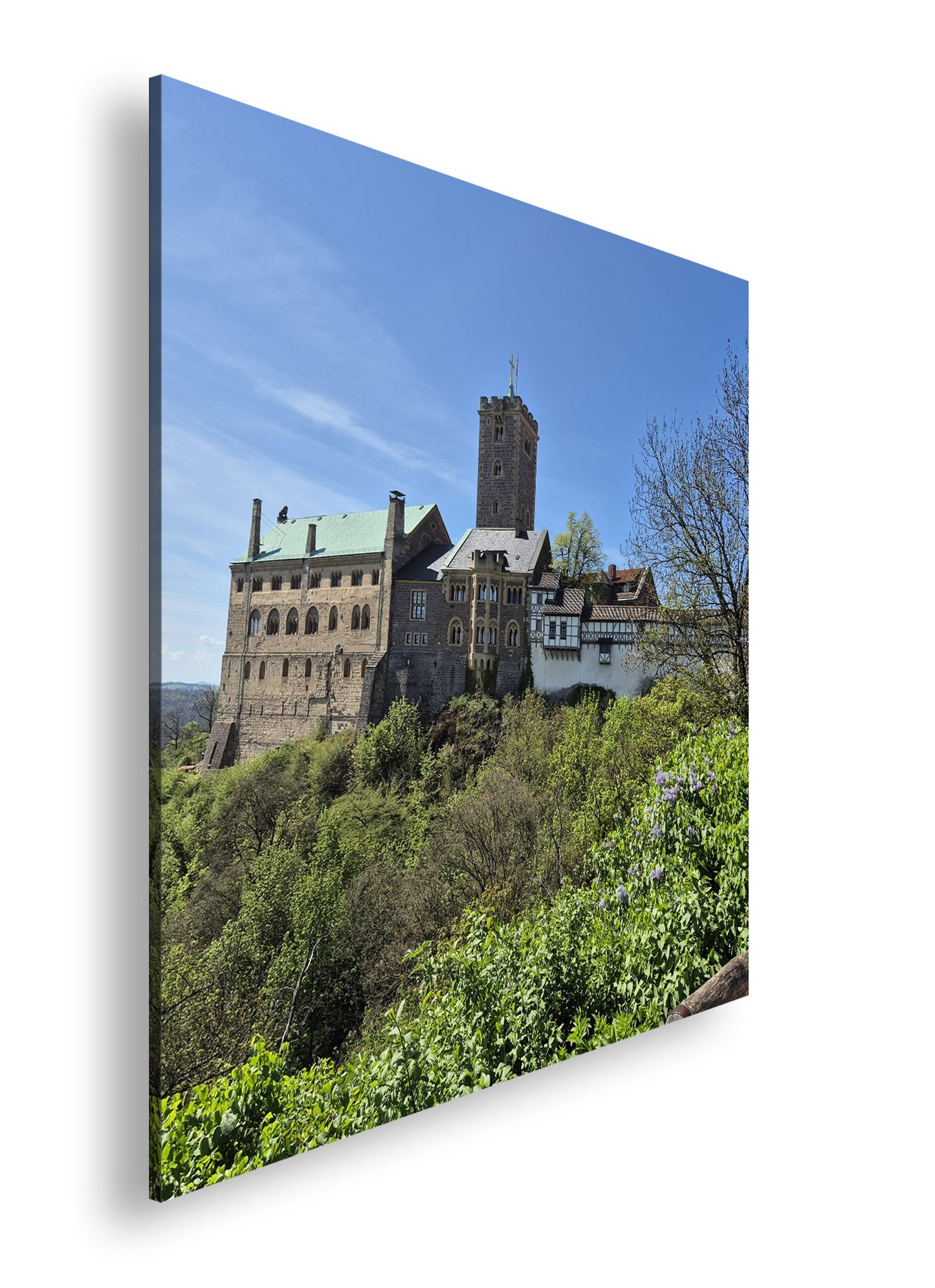 Hauptbild Farbig Quadratisch