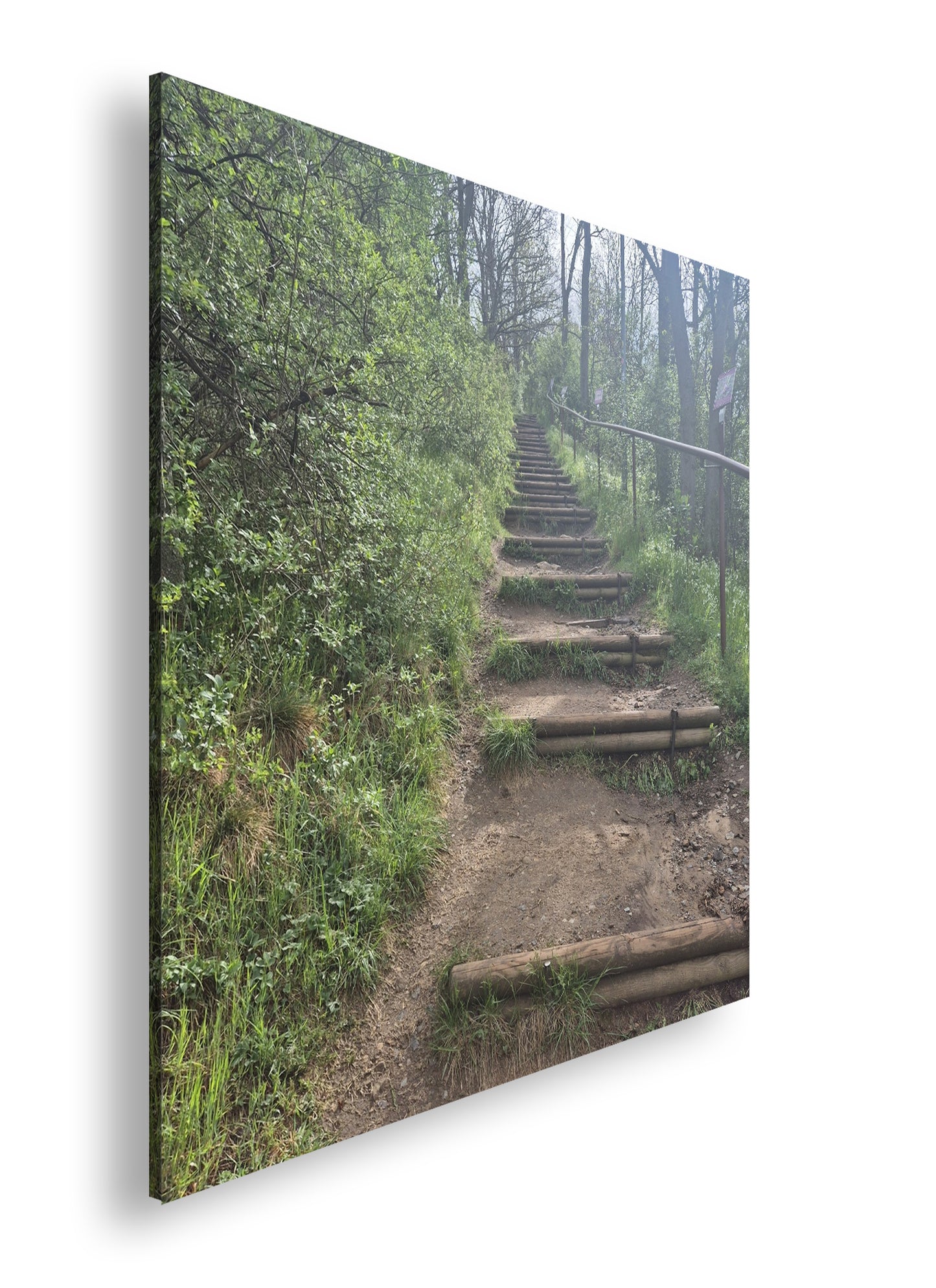 Hauptbild Farbig Quadratisch