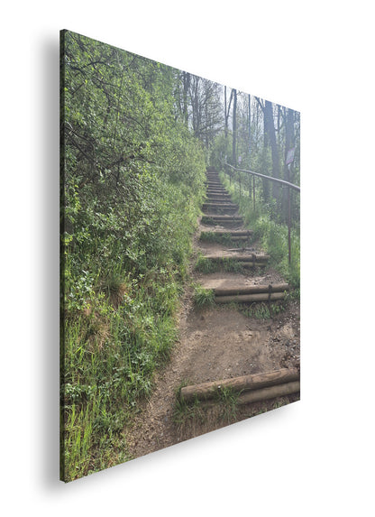 Hauptbild Farbig Quadratisch