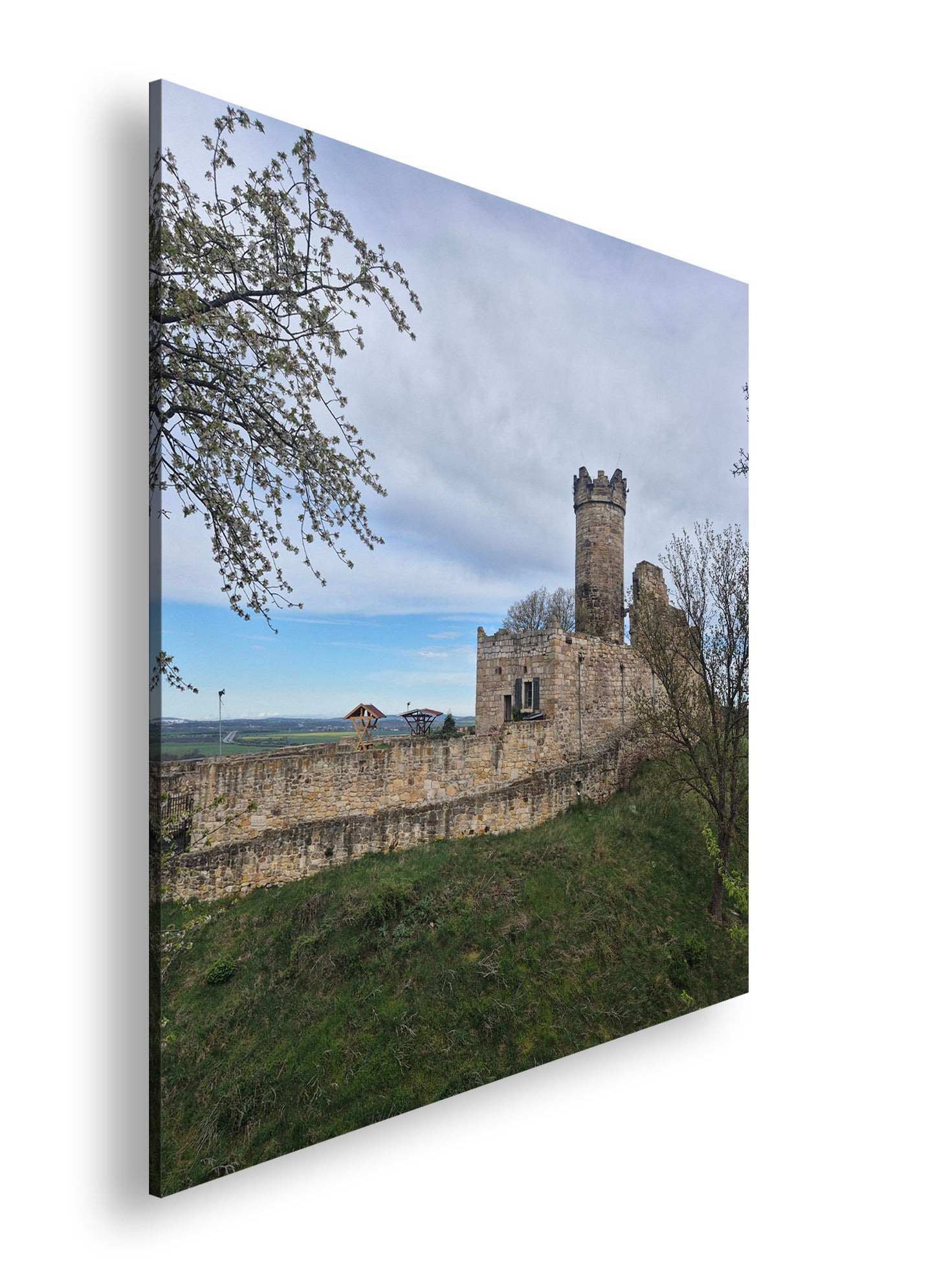 Hauptbild Farbig Quadratisch