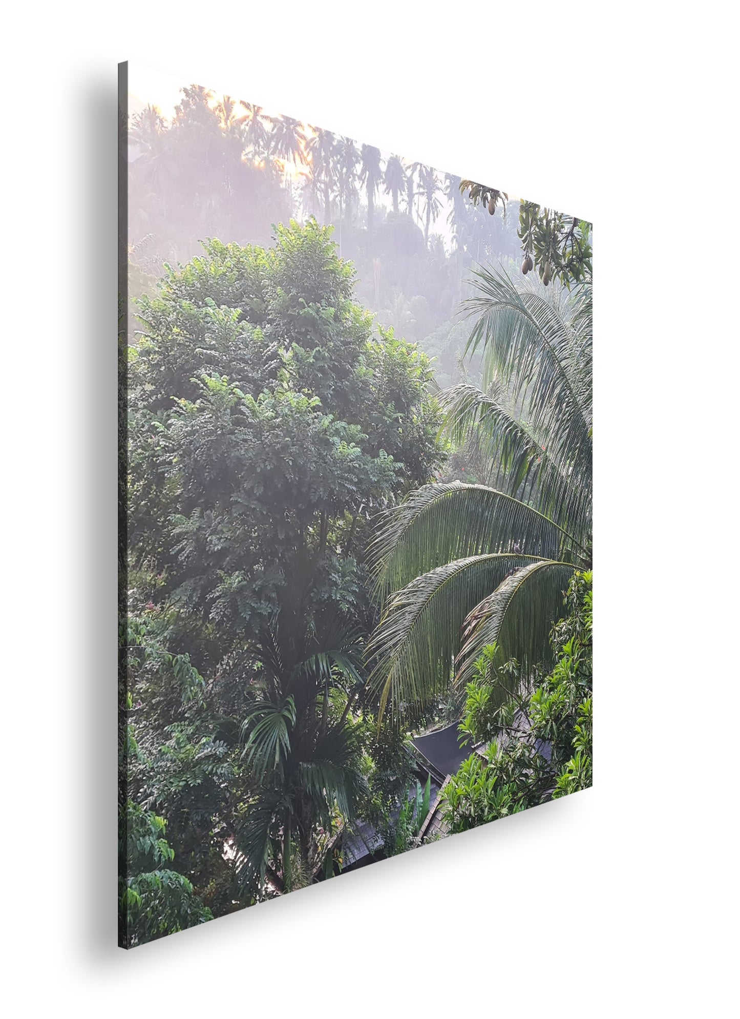 Hauptbild Farbig Quadratisch