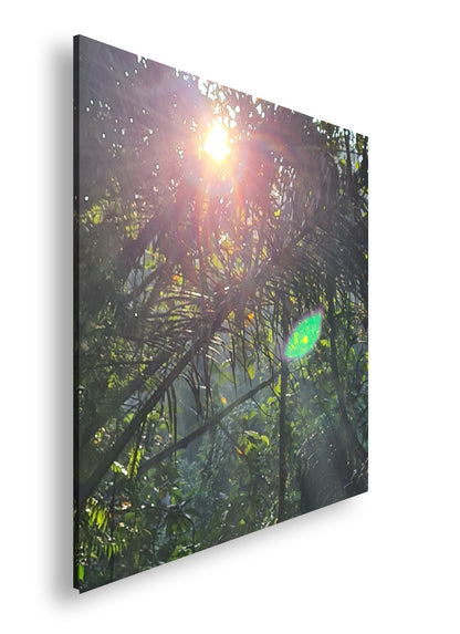 Hauptbild Farbig Quadratisch