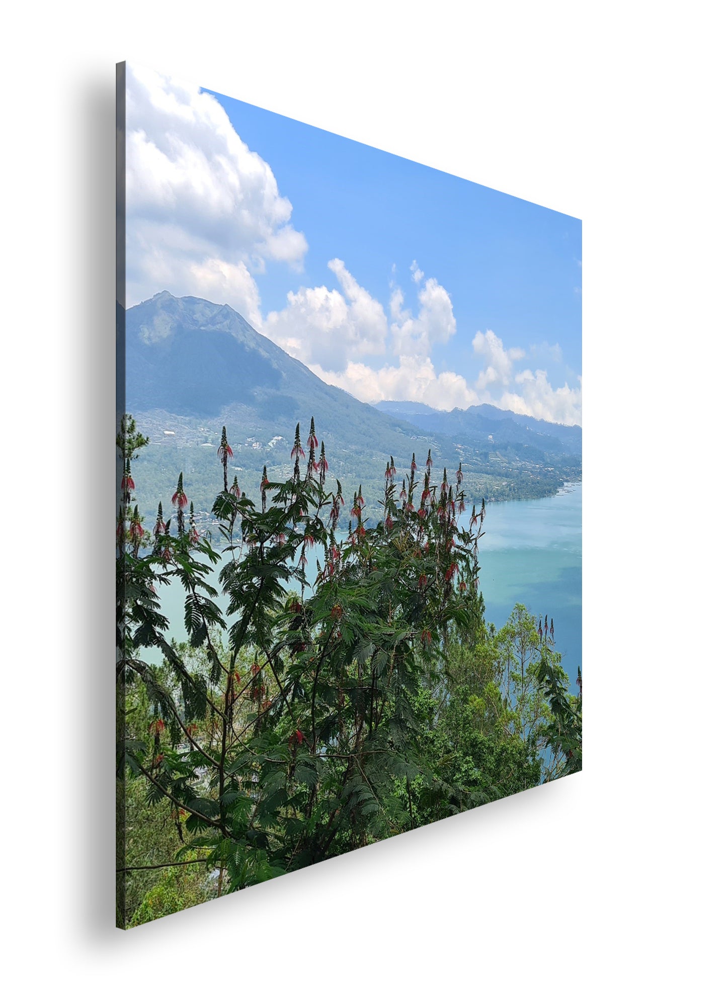 Hauptbild Farbig Quadratisch