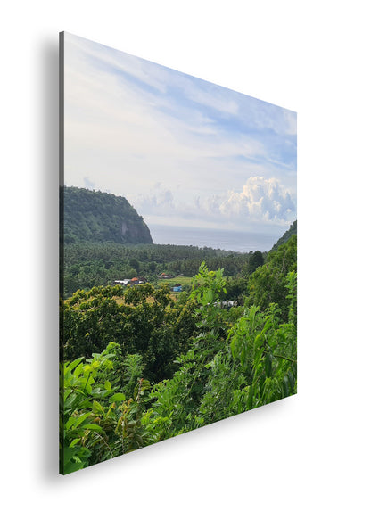 Hauptbild Farbig Quadratisch