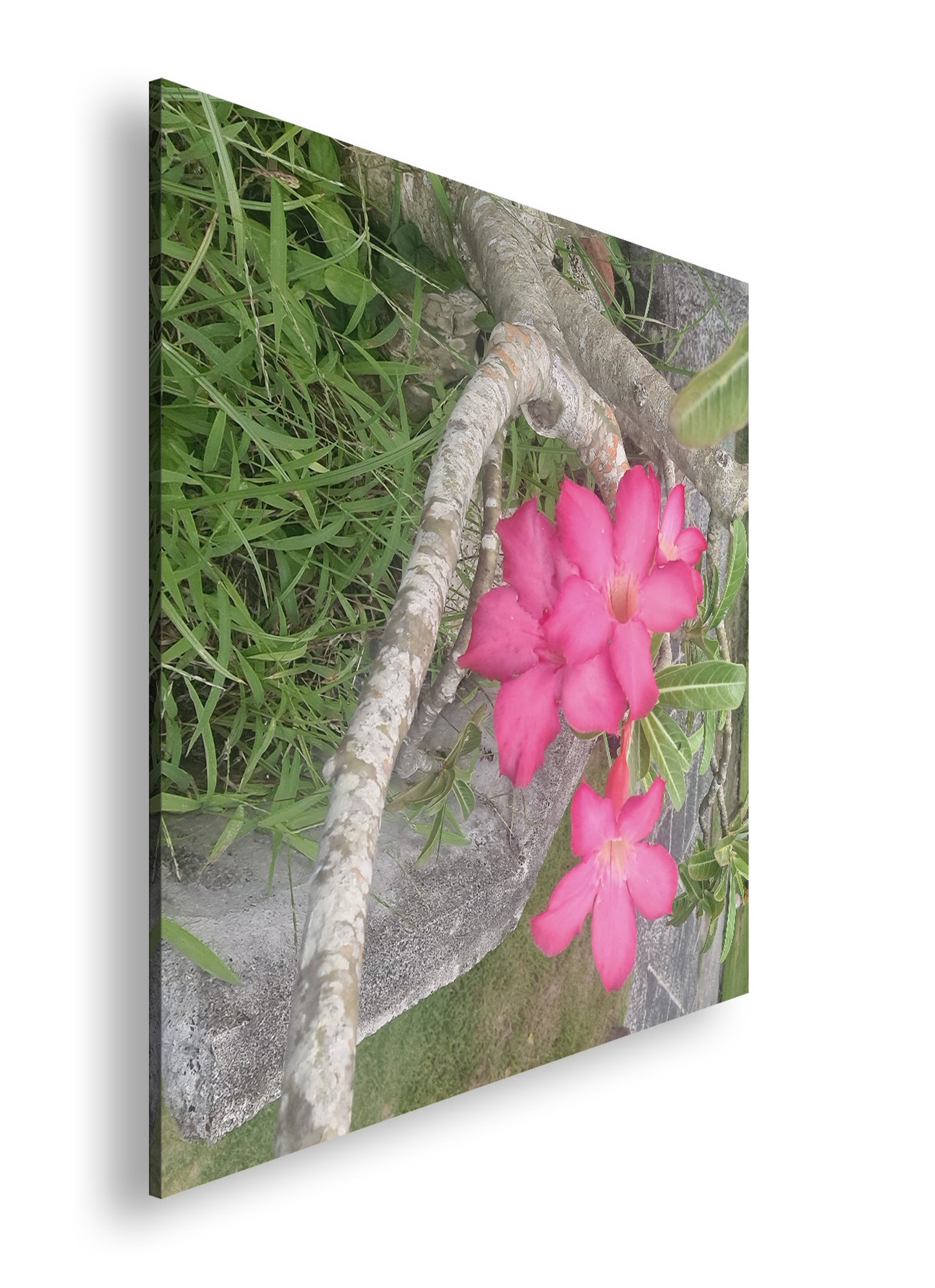 Hauptbild Farbig Quadratisch