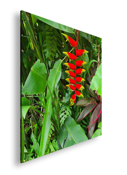 Hauptbild Farbig Quadratisch