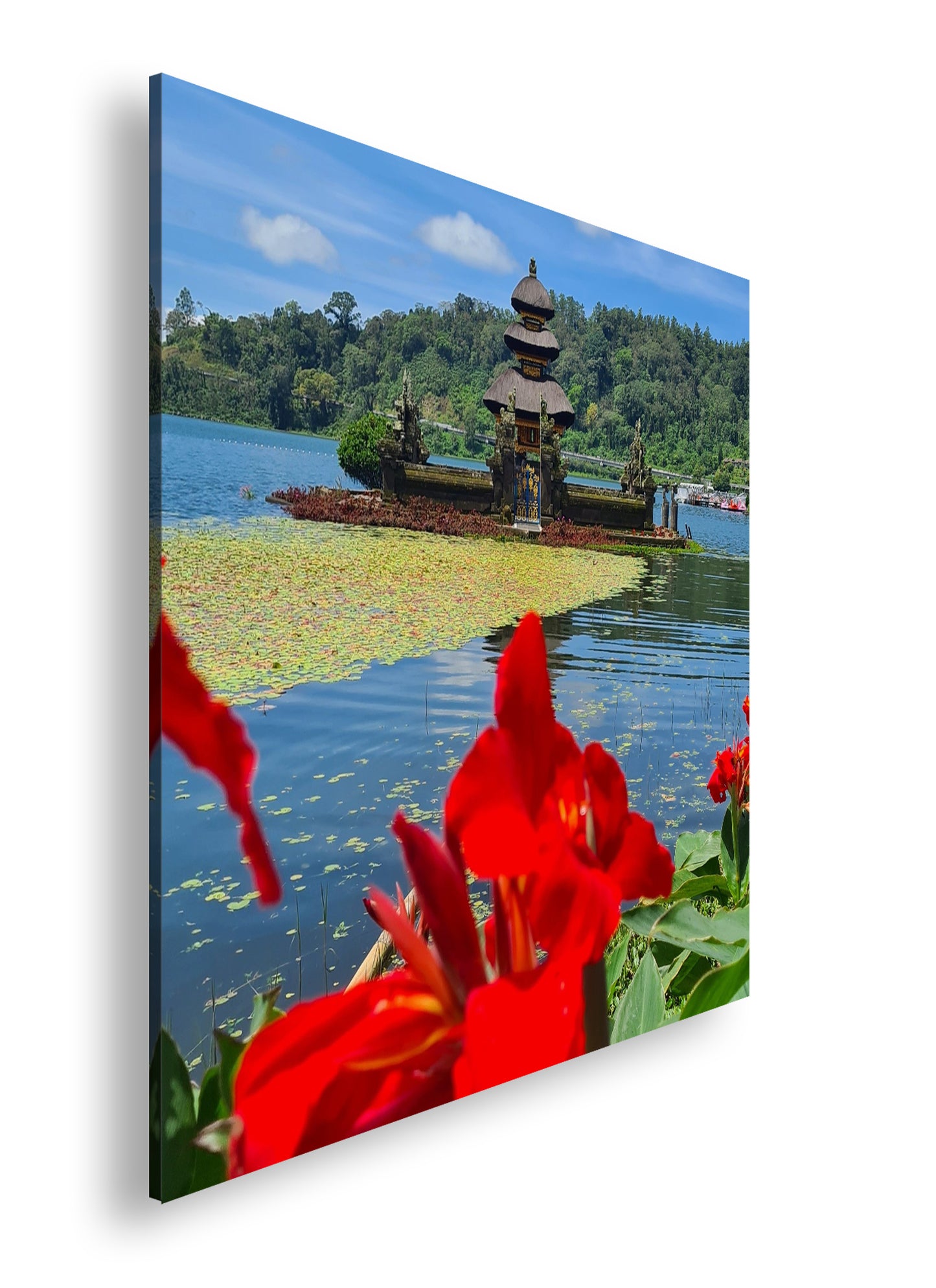 Hauptbild Farbig Quadratisch