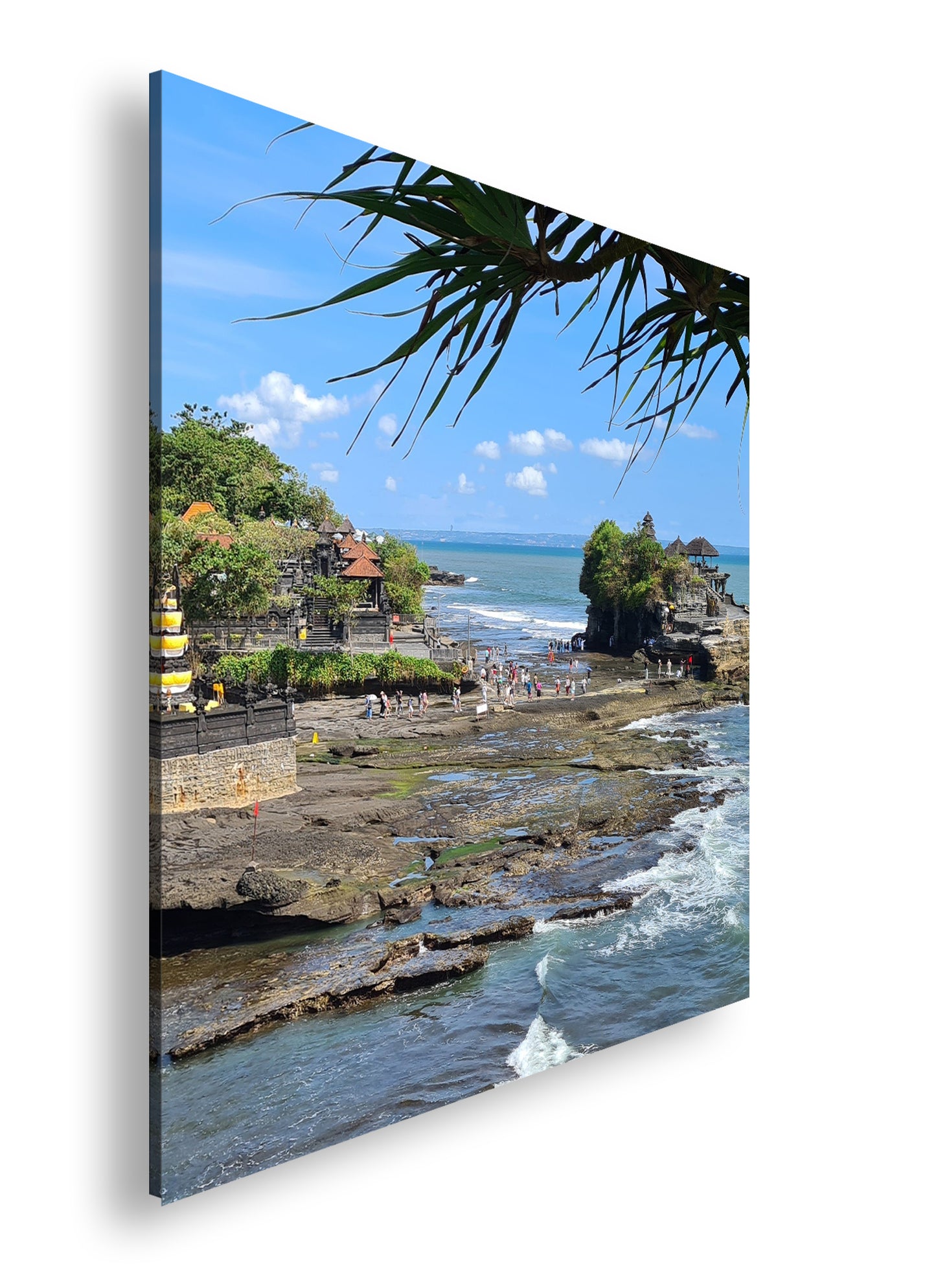 Hauptbild Farbig Quadratisch