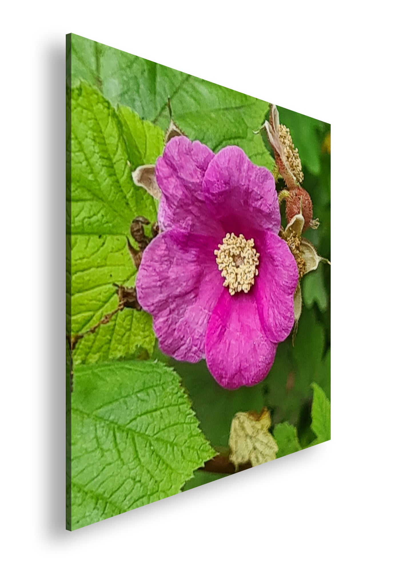 Hauptbild Farbig Quadratisch