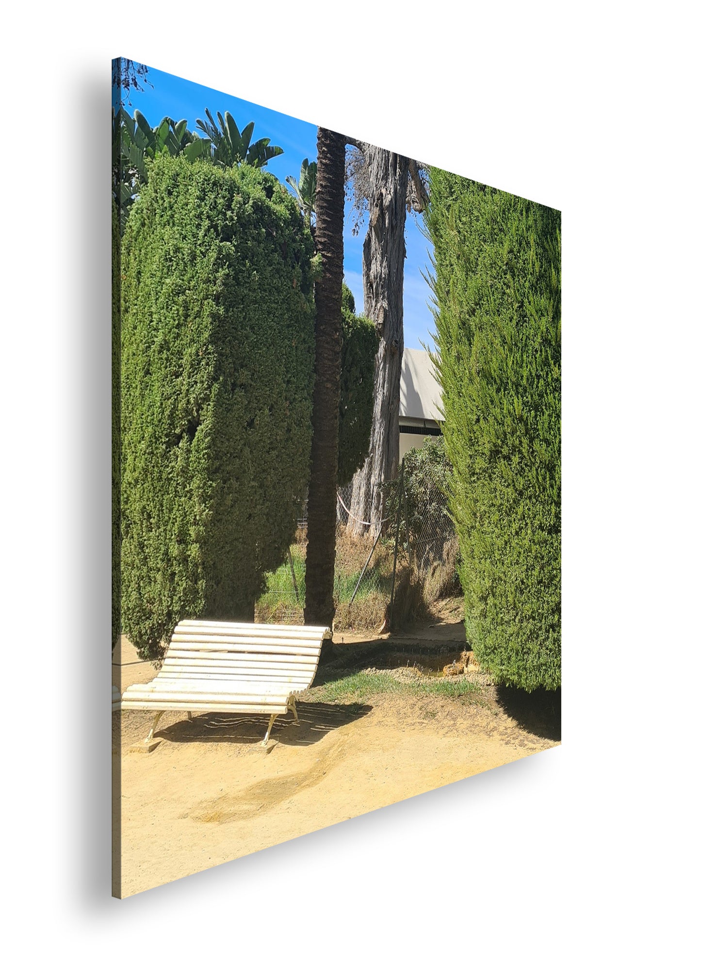 Hauptbild Farbig Quadratisch