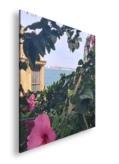 Hauptbild Farbig Quadratisch