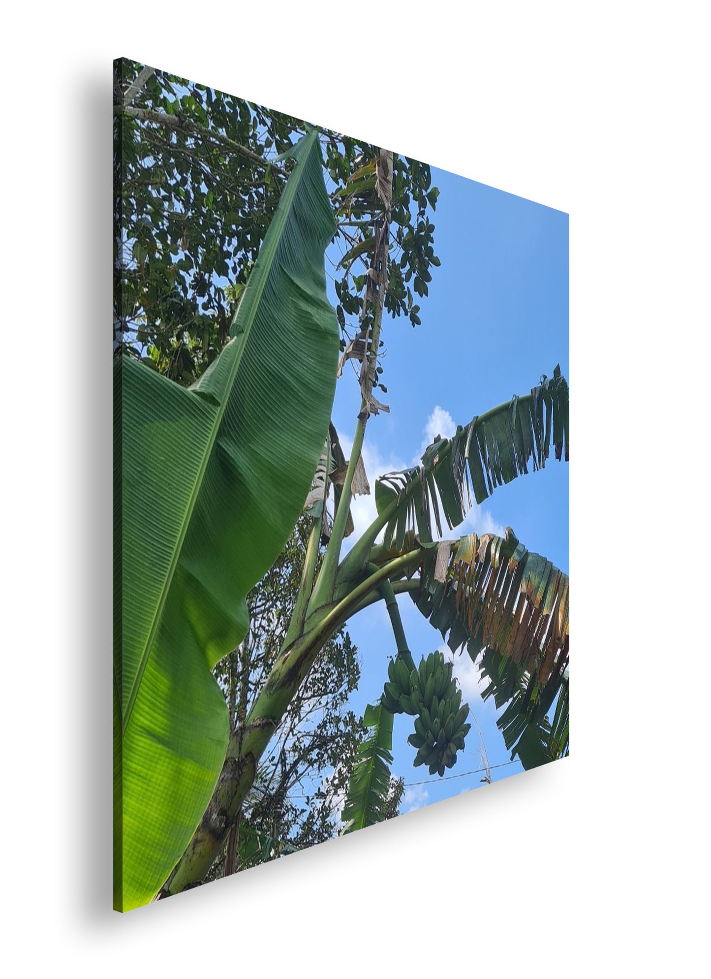 Hauptbild Farbig Quadratisch