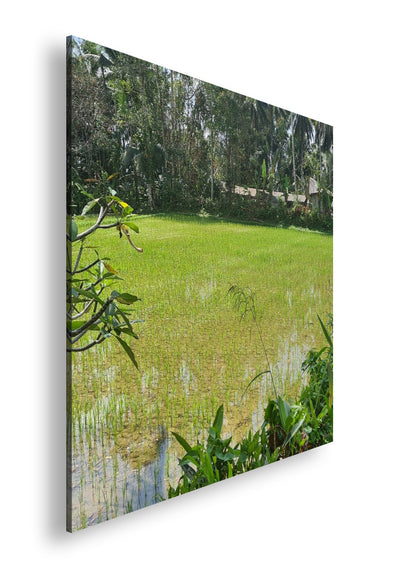 Hauptbild Farbig Quadratisch