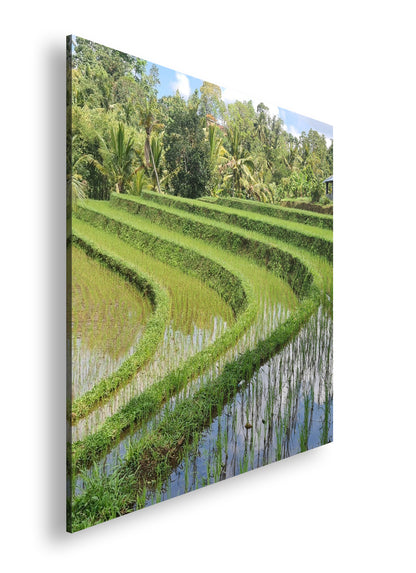 Hauptbild Farbig Quadratisch