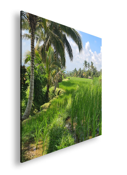 Hauptbild Farbig Quadratisch