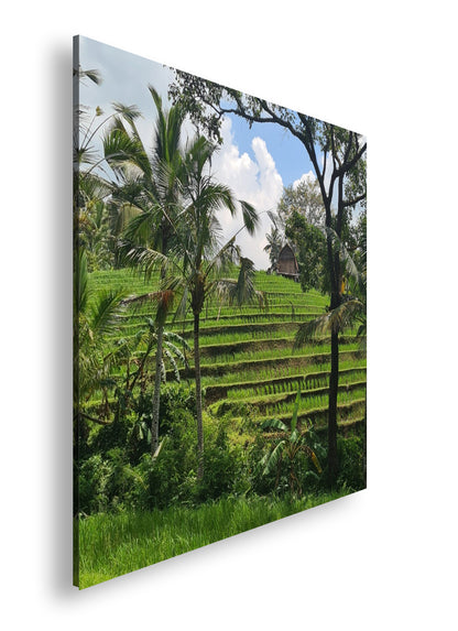 Hauptbild Farbig Quadratisch