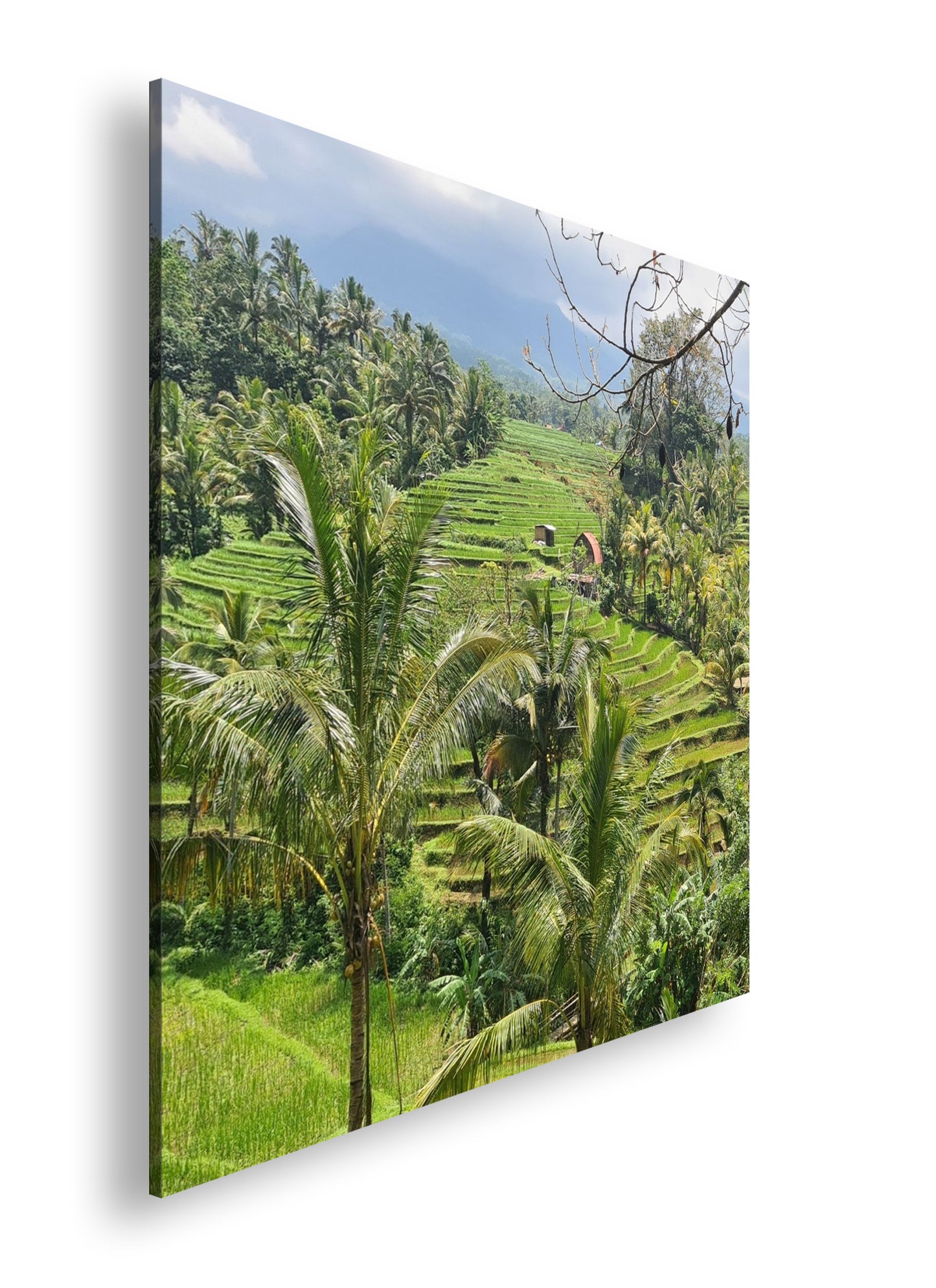 Hauptbild Farbig Quadratisch