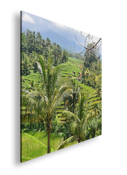 Hauptbild Farbig Quadratisch