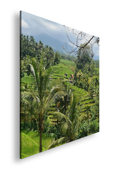 Hauptbild Farbig Quadratisch