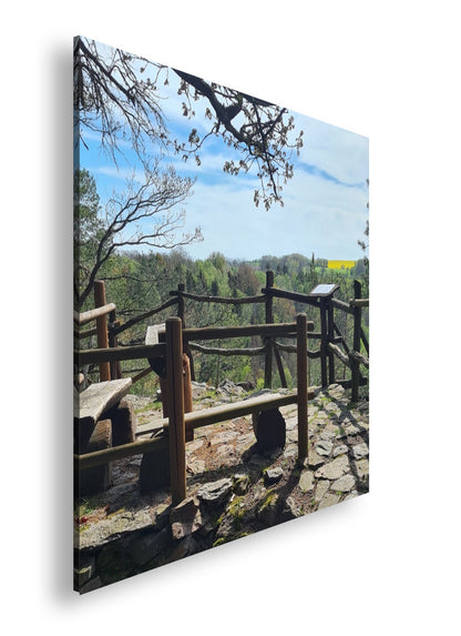 Hauptbild Farbig Quadratisch