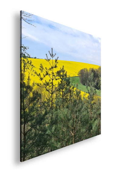 Hauptbild Farbig Quadratisch