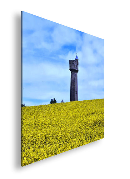 Hauptbild Farbig Quadratisch