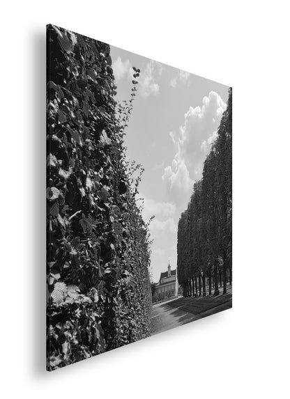 Hauptbild Schwarz & Weiß Quadratisch