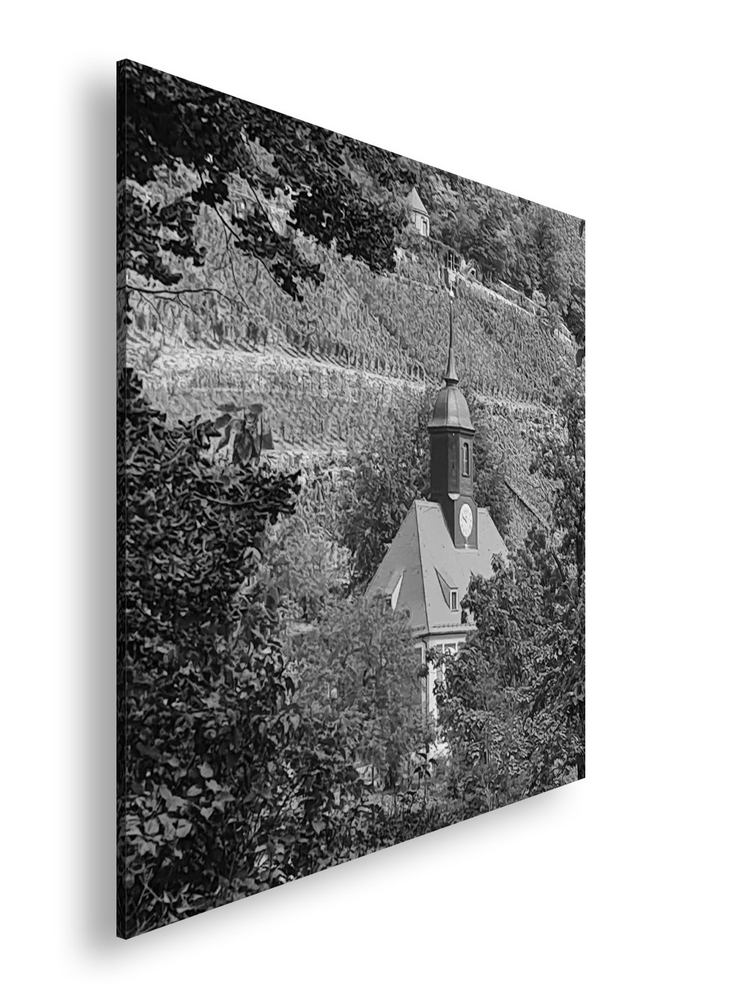 Hauptbild Schwarz & Weiß Quadratisch